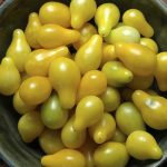 خرید گوجه‌ فرنگی گلابی زرد
