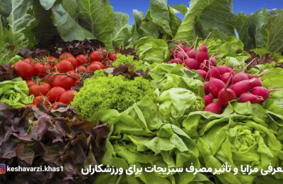 معرفی مزایا و تأثیر مصرف سبزیجات برای ورزشکاران