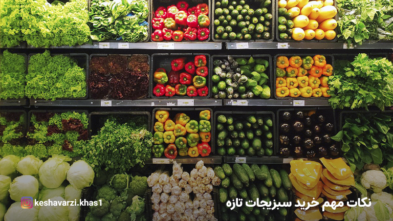 نکات مهم در هنگام خرید در سبزیجات تازه